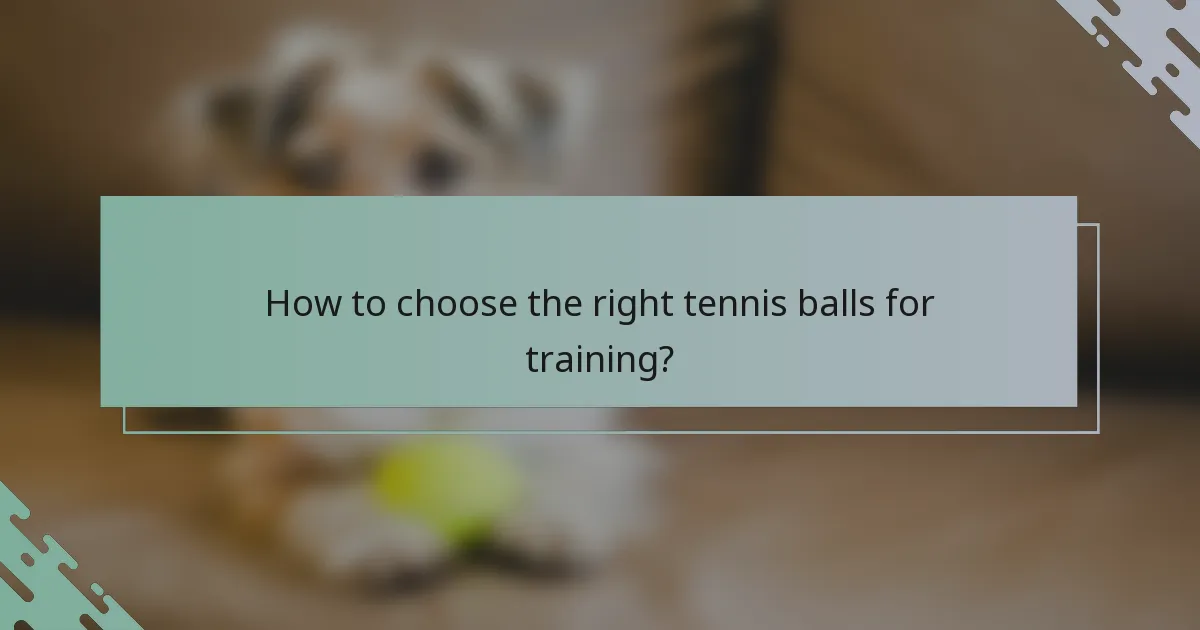 How to choose the right tennis balls for training?