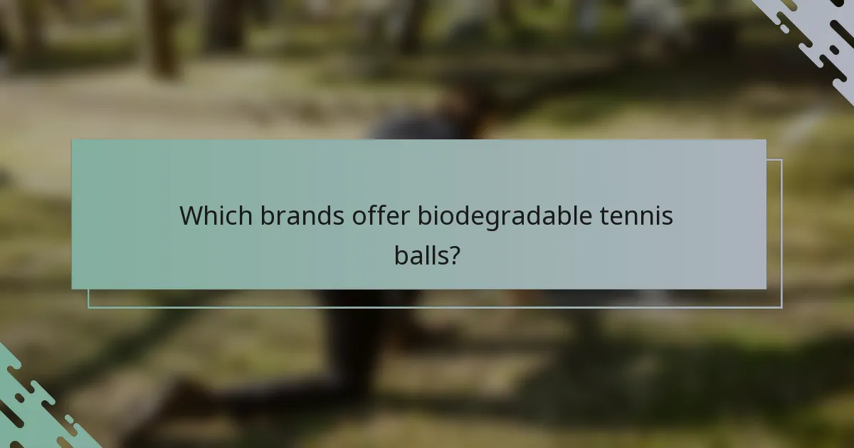 Which brands offer biodegradable tennis balls?